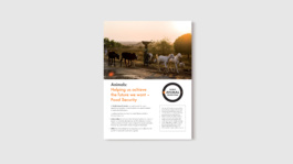 Nick Bologna Design — Animal welfare, educating communities Nick Bologna Design — Animal welfare, educating communities