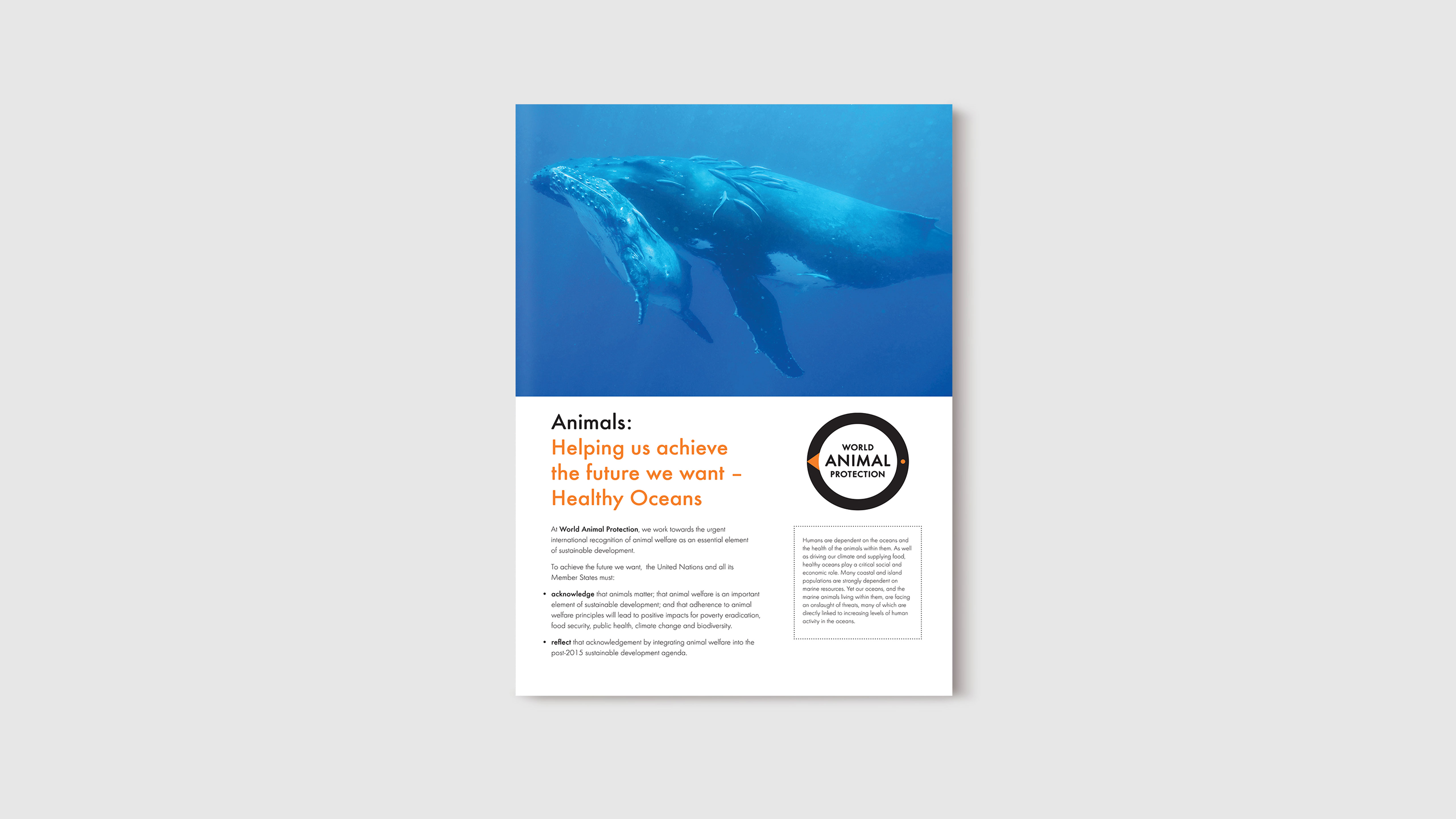 World Animal Protection. Poster layout. Animals: Helping us achieve the future we want — Healthy Oceans. Image of a whale and calf. 
